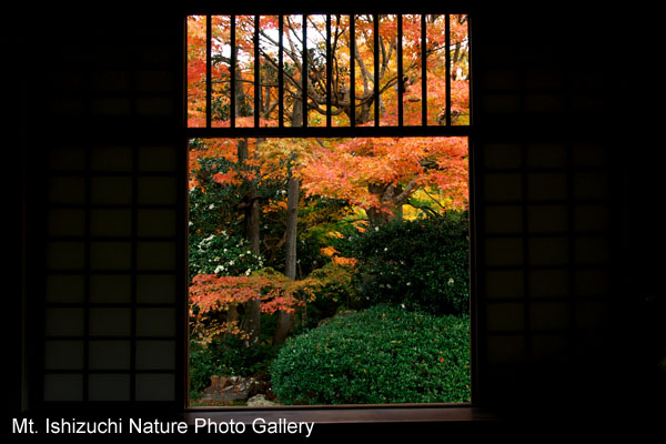 kyoto (073)